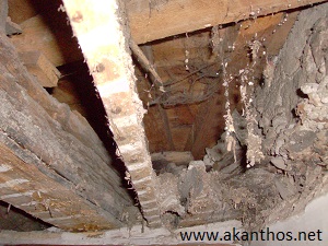 soffitto_del_Millecinquecento